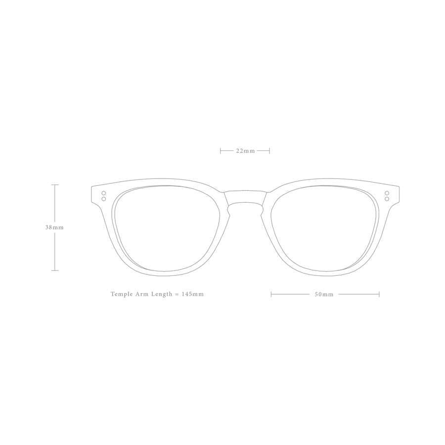 RAEN Optics レーン サングラス / THE NARROWS - AMERICANO x CLEAR / 正規代理店 / 200U173NRW