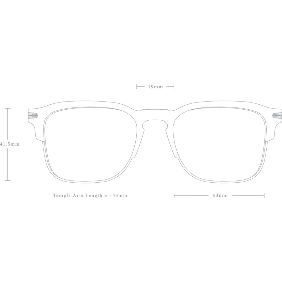RAEN Optics レーン サングラス / WILEY ALCHEMY - BRINDLE TORTOISE x SMOKE POLARIZED / 正規代理店/ 100W181MWI-S328