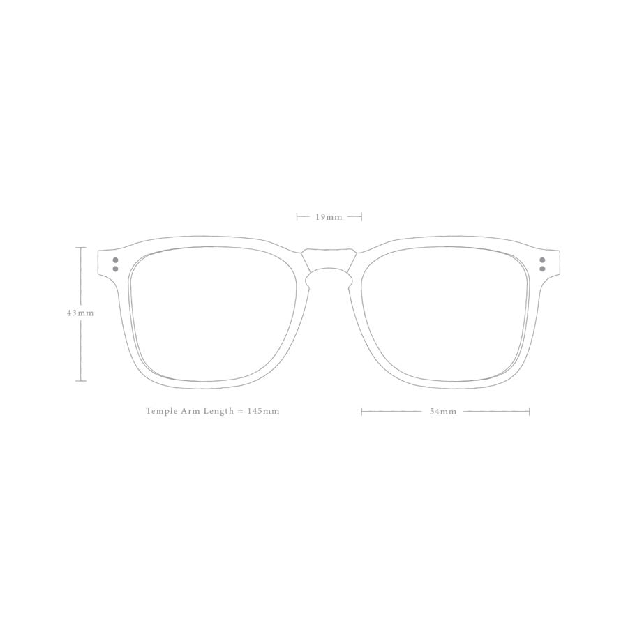 RAEN Optics レーン サングラス / WILEY - TOKYO TURTOISE x BROWN POLARIZED / 正規代理店/ 100M161WLY-S178-54