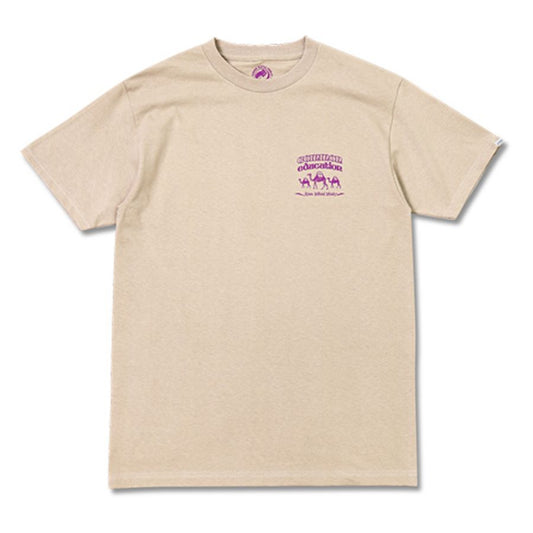 COMMON EDUCATION (コモンエデュケーション) / 半袖 Tシャツ  / S/S TEE "SPHINX" - SAND / メンズ