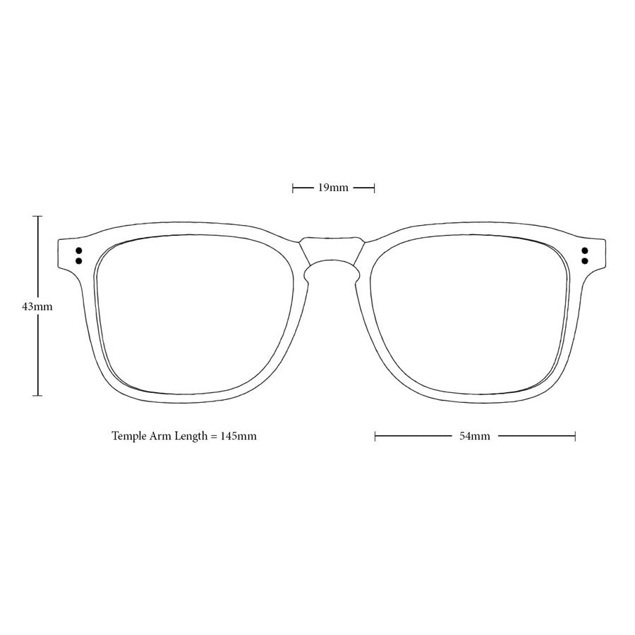 RAEN Optics レイン サングラス / WILEY - COVE x GREEN / 正規代理店/ 100213UWIL-S773-54