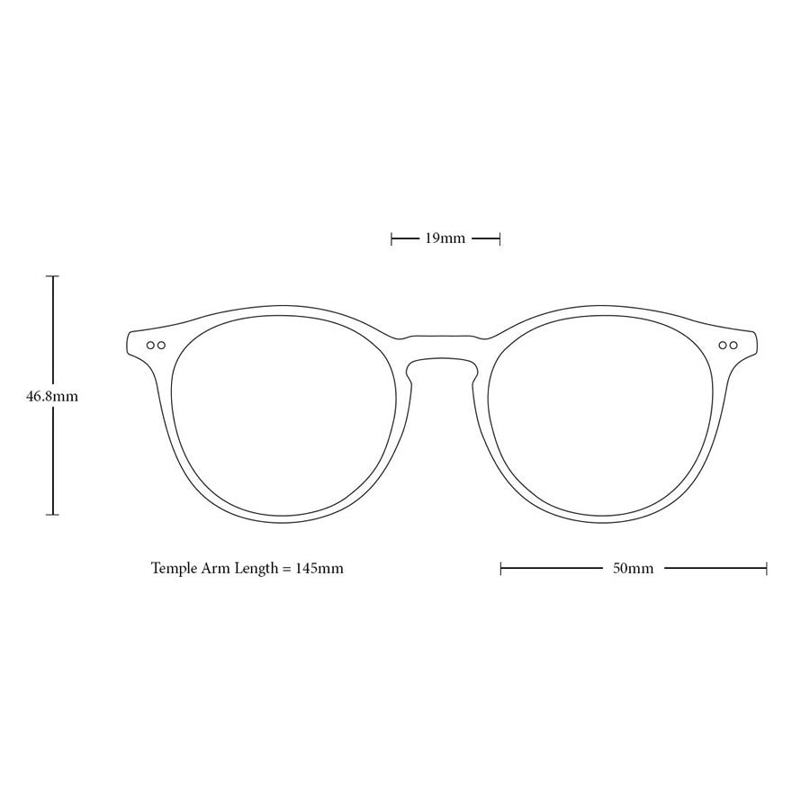 RAEN Optics レイン サングラス / BASQ - MOAB TORTOISE x GREEN / 正規代理店 / 100U231BAS-S990
