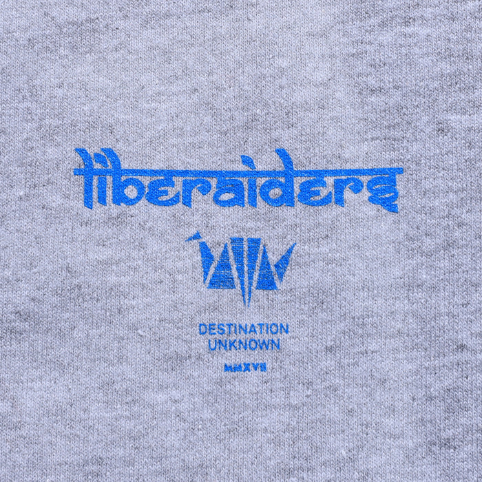 LIBERAIDERS(リベレイダース) / スウェットクルーネック トレーナー / LR SLEEVE LOGO VINTAGE CREWNECK - GRAY / 753192303 / メンズ