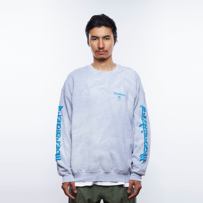LIBERAIDERS(リベレイダース) / スウェットクルーネック トレーナー / LR SLEEVE LOGO VINTAGE CREWNECK - GRAY / 753192303 / メンズ