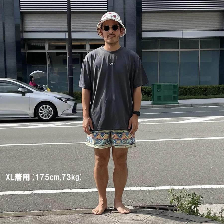 PACIFIC STANDARD TIME  / 半袖ドライTシャツ / ALWAYS DRY PALM TREE TEE - CHARCOAL