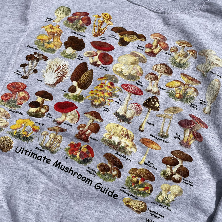 ATLAS SCREEN PRINTING/ きのこ スウェット クルーネック 裏起毛/ CR/NK SWEAT SHIRT "ULTIMATE MUSHROOM GUIDE" - ASH / メンズ