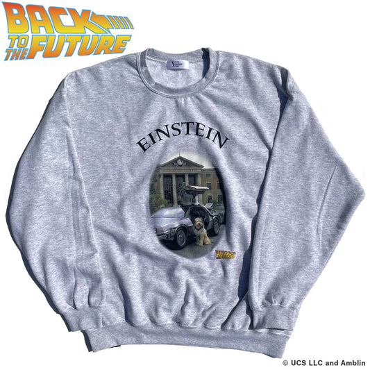 BACK TO THE FUTURE / PACIFIC STANDARD TIME / スウェットクルーネック トレーナー / EINSTEIN SWEAT CREW - ASH