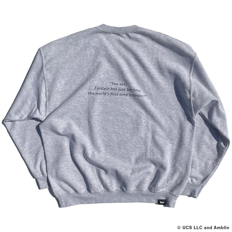 BACK TO THE FUTURE / PACIFIC STANDARD TIME / スウェットクルーネック トレーナー / EINSTEIN SWEAT CREW - ASH