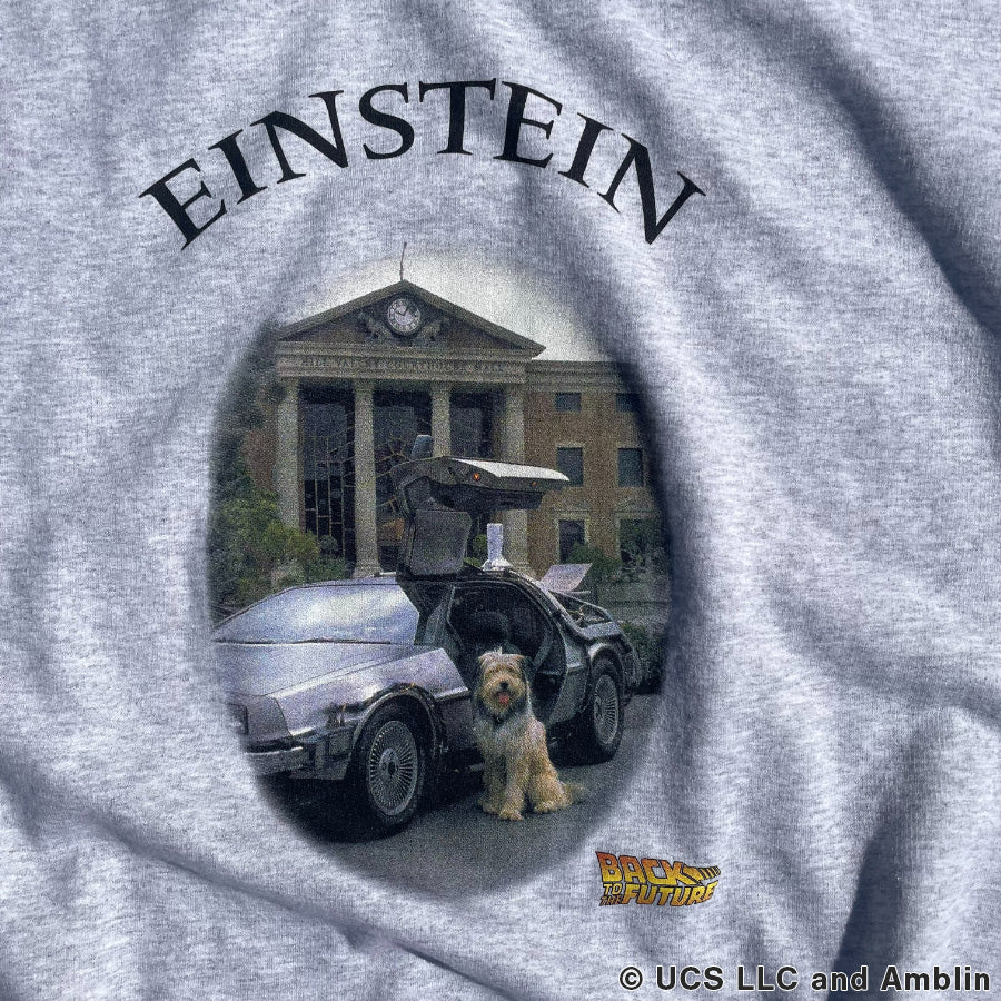 BACK TO THE FUTURE / PACIFIC STANDARD TIME / スウェットクルーネック トレーナー / EINSTEIN SWEAT CREW - ASH