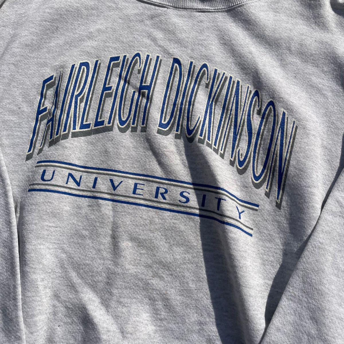 [USED] 90'S JANSPORTS / Fairleigh Dickinson University -L / カレッジスウェットトレーナー フェアリー・ディキンソン大学