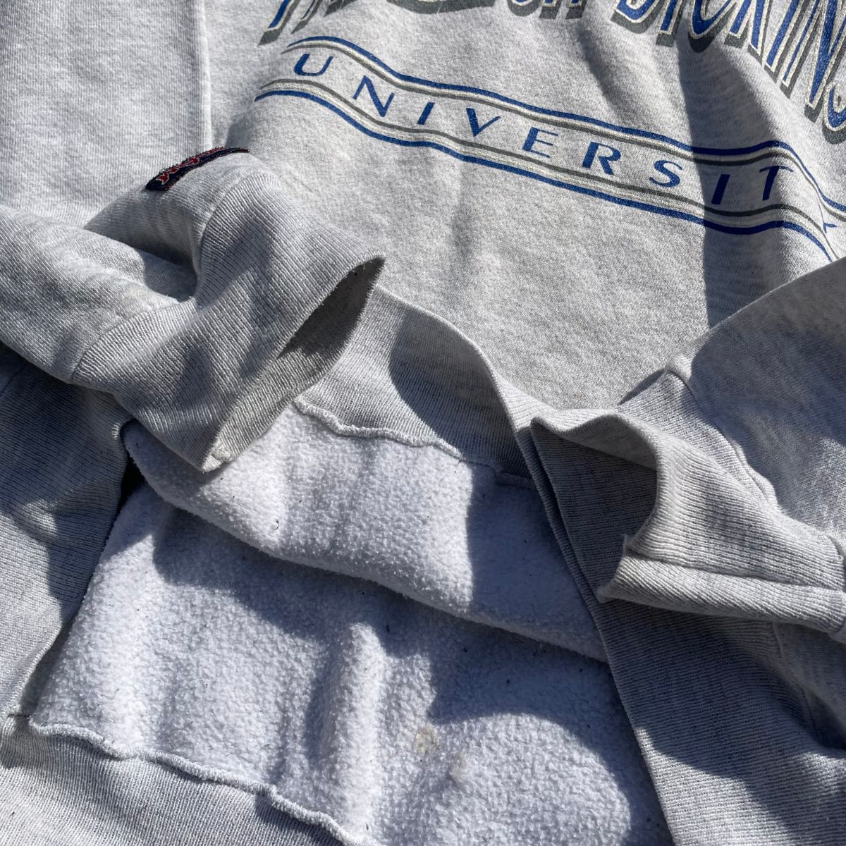 [USED] 90'S JANSPORTS / Fairleigh Dickinson University -L / カレッジスウェットトレーナー フェアリー・ディキンソン大学