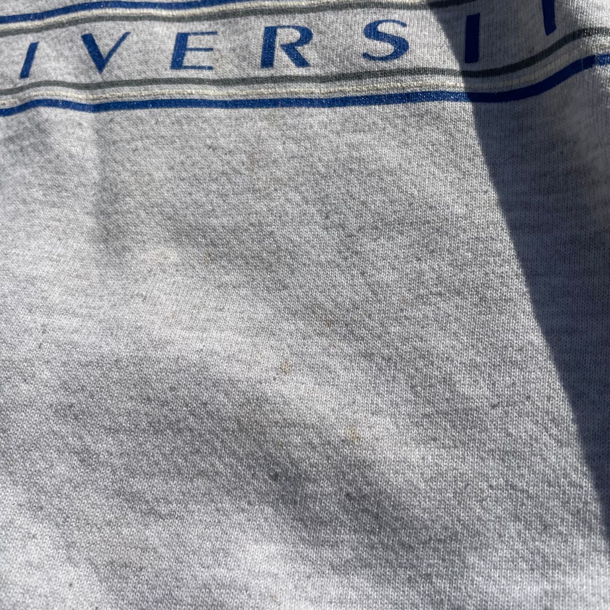 [USED] 90'S JANSPORTS / Fairleigh Dickinson University -L / カレッジスウェットトレーナー フェアリー・ディキンソン大学