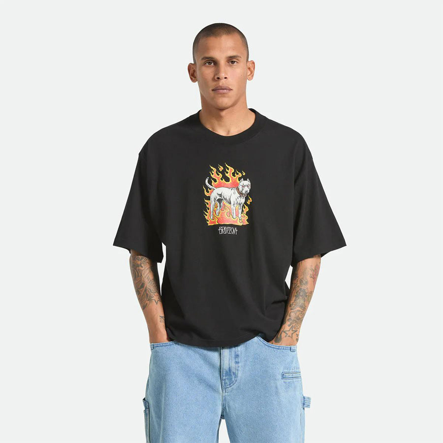 BRIXTON ( ブリクストン ) / Tシャツ 半袖 / WILSHRE S/S BOXED CROP